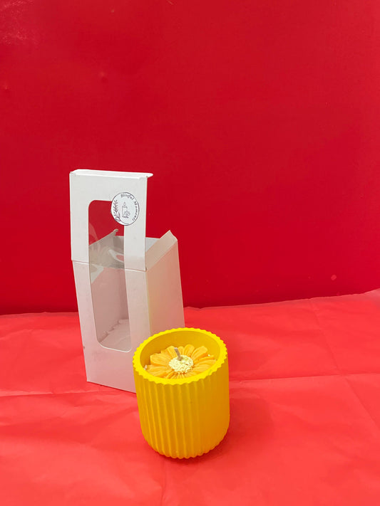 Daisy concrete jar candle