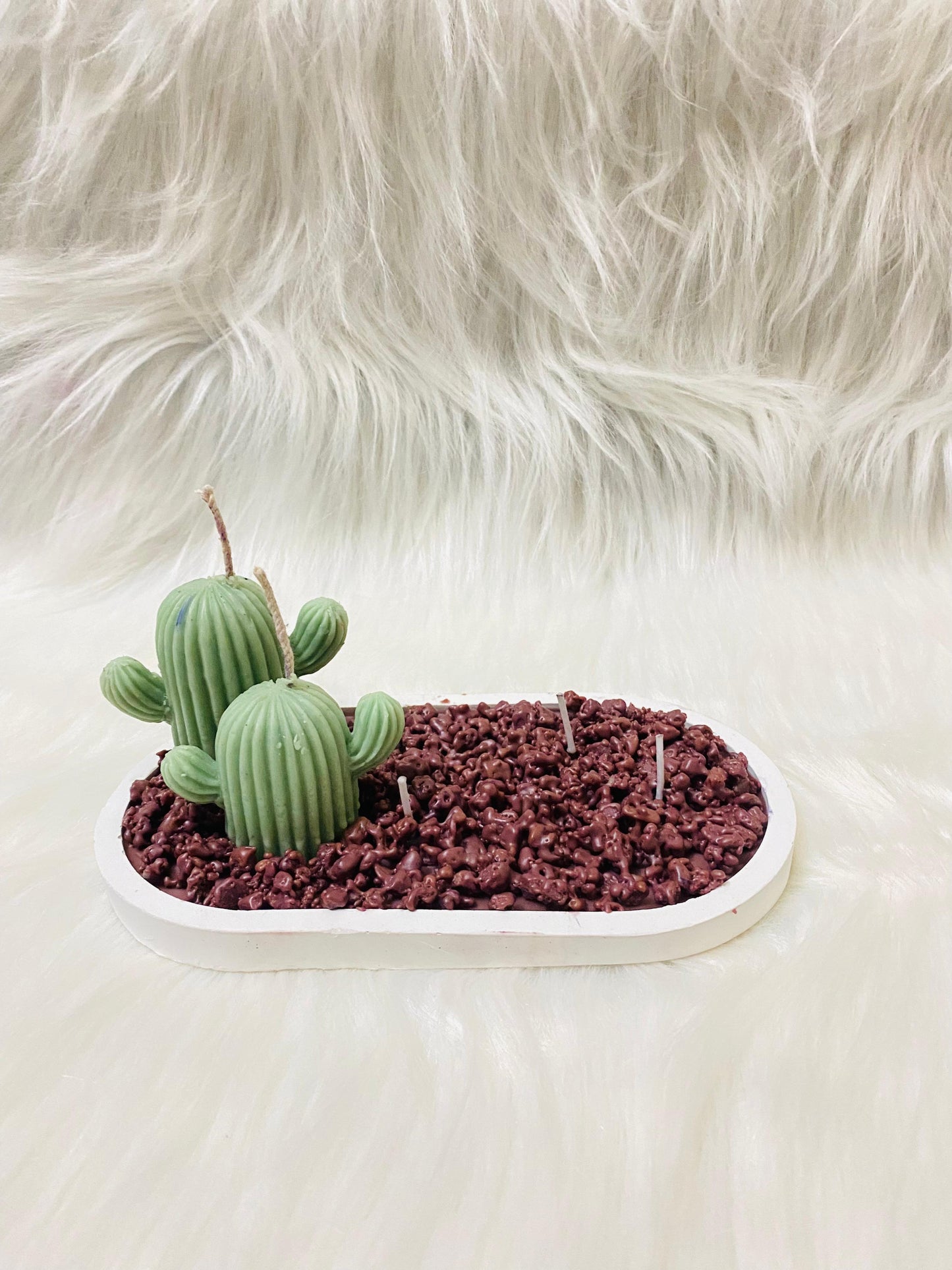 Cactus platter candle